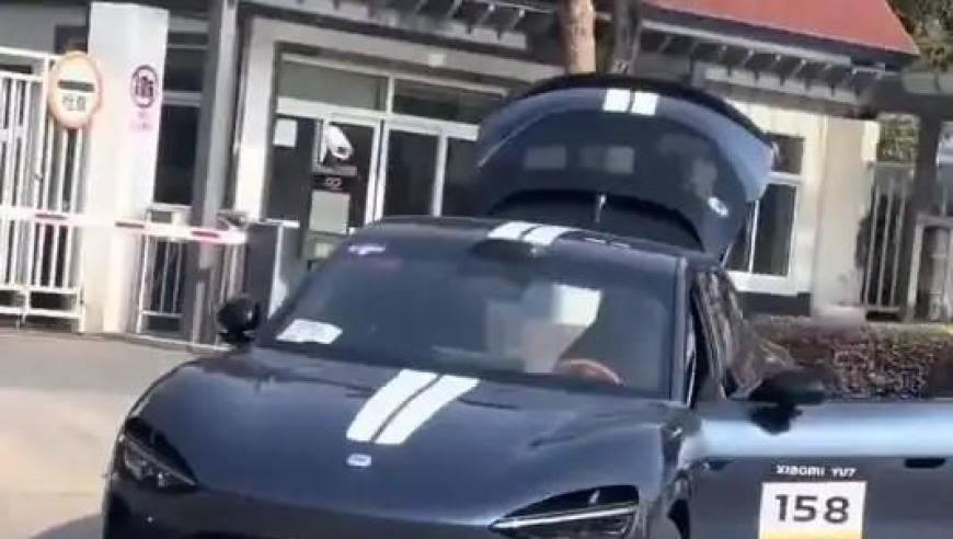 2025澳门管家婆资料正板大,白鹿说因为警察荣誉才能演北上,精准解释落实及其象征意义_网红版V11.20