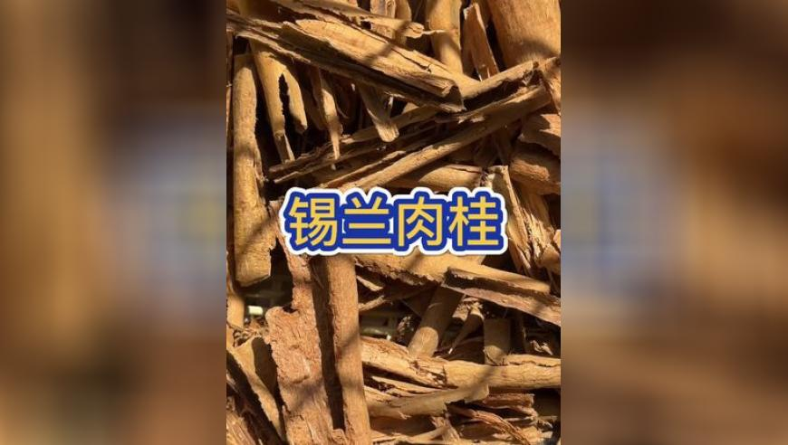 难哄定档218,2025澳彩开奖结果开奖,国产化作答解释落实_极速版V14.61