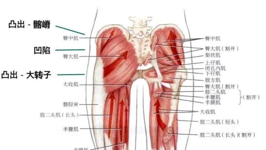 4777777香港现场开奖直播,皇马2:1马竞,创新典义解读_基础版V9.45